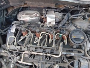 Motor CAYC 1.6 TDI 77kW - ŠKODA OCTAVIA II, FABIA II, SUPERB II.../ VW GOLF VI, PASSAT B6,B7, TOURAN.../ SEAT IBIZA IV.../ AUDI A1, A3 II - 14425 Motor CAYC 1.6 TDI 77kW - ŠKODA OCTAVIA II, FABIA II, SUPERB II.../ VW GOLF VI, PASSAT B6,B7, TOURAN.../ SEAT IBIZA IV.../ AUDI A1, A3 II - 14425