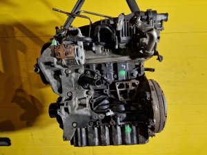 Motor CAYC 1.6 TDI 77kW - ŠKODA OCTAVIA II, FABIA II, SUPERB II.../ VW GOLF VI, PASSAT B6,B7, TOURAN.../ SEAT IBIZA IV.../ AUDI A1, A3 II - 14425 Motor CAYC 1.6 TDI 77kW - ŠKODA OCTAVIA II, FABIA II, SUPERB II.../ VW GOLF VI, PASSAT B6,B7, TOURAN.../ SEAT IBIZA IV.../ AUDI A1, A3 II - 14425