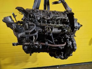 Motor YD22 - 2.2 TDI 100kW z Nissan X-Trail I (T30) - 13001 Motor YD22 - 2.2 TDI 100kW z Nissan X-Trail I (T30) - 13001