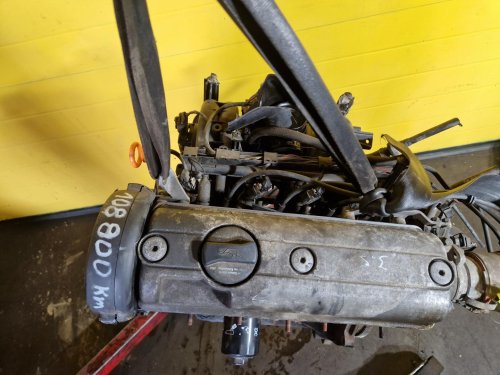 MOTOR AEE - 1.6 MPI 55KW - ŠKODA FELICIA / VW GOLF III, POLO III, VENTO, CADDY II / SEAT CORDOBA, INCA, IBIZA II - 19549