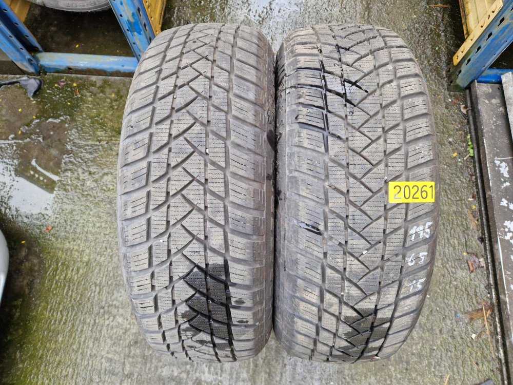 2 KS ZIMNÍ PNEUMATIKA GT RADIAL WINTERPRO - 195/65 R15 91T - 20261