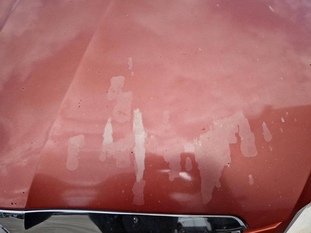 KAPOTA ŠKODA FABIA II (542) / ROOMSTER, ORANŽOVÁ 9771 - 19574