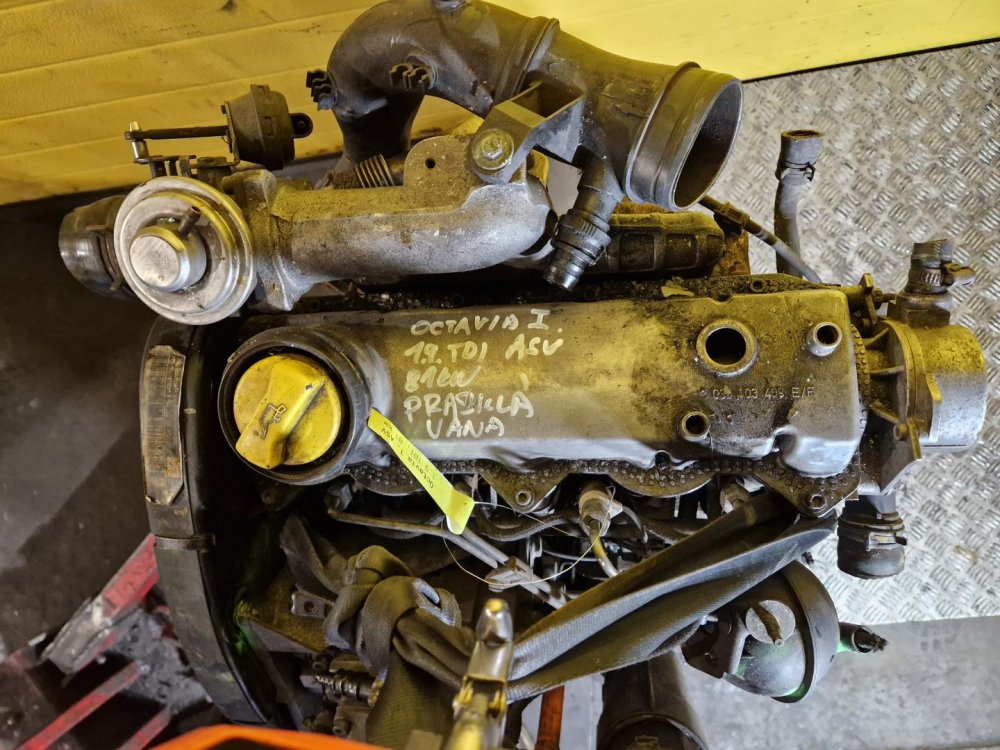 Motor ASV - 1.9 TDI 81KW - ŠKODA OCTAVIA / VW POLO, GOLF, BORA.../ SEAT IBIZA , CORDOBA, LEON.../ AUDI A3 - 20996 Motor ASV - 1.9 TDI 81KW - ŠKODA OCTAVIA / VW POLO, GOLF, BORA.../ SEAT IBIZA , CORDOBA, LEON.../ AUDI A3 - 20996