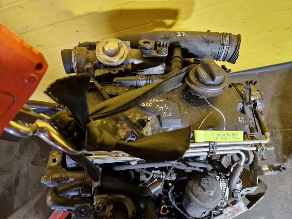 Motor BKC - 1.9 TDI, 77kW - VW GOLF V, TOURAN, PASSAT B6.../ ŠKODA OCTAVIA II/ AUDI A3 II/ SEAT ALTEA, LEON II... - 21165