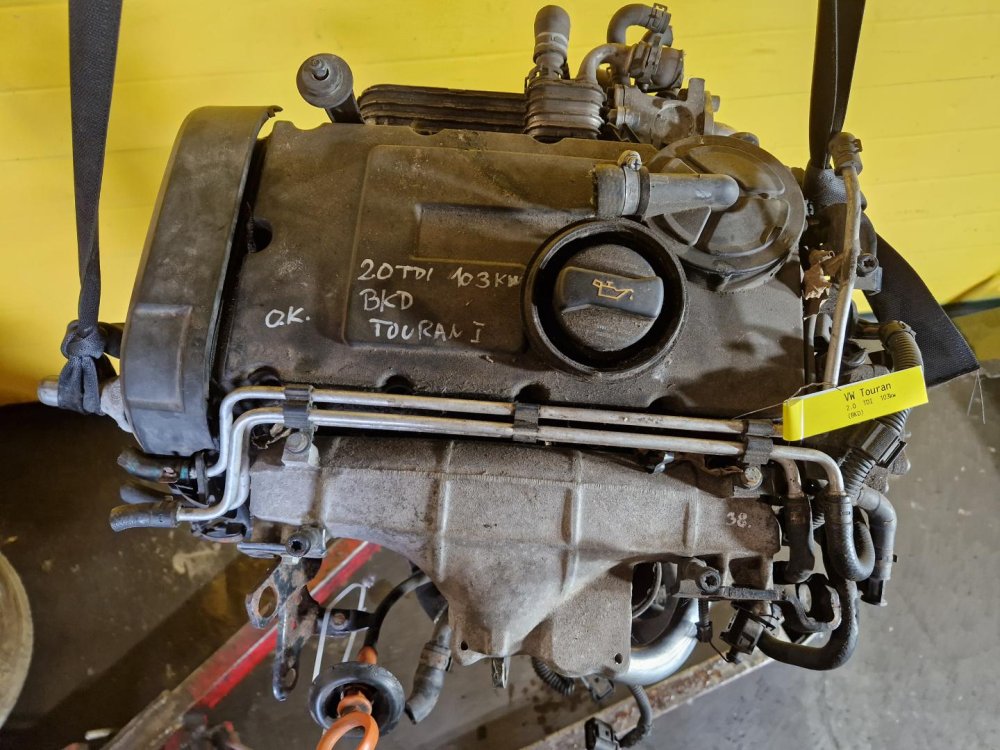 MOTOR BKD - 2.0 TDI 103kW - VW TOURAN, GOLF... / ŠKODA OCTAVIA II, SUPERB II / AUDI A3 II / SEAT ALTEA, LEON II, TOLEDO III / MITSUBISHI LANCER VIII - 19550